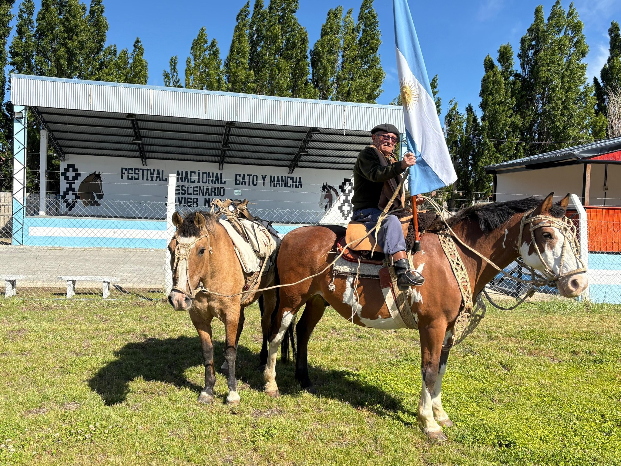 Día Nacional del Caballo